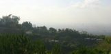 1622 Tower Grove Drive (5)