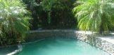 4533 Estrondo Drive (5)